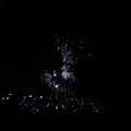 22-newyear-fireworks