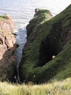 13-arbroath-coast