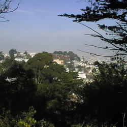 San Francisco 2001