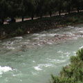 17-green-river