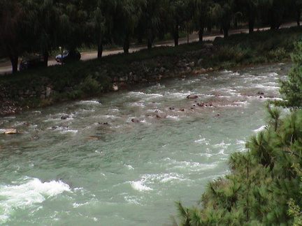 17-green-river