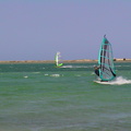 11-Caloundra-windsurfing