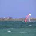 18-Caloundra-windsurfing