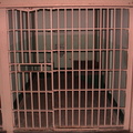 alcatraz23