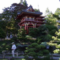 japanese-tea-garden0