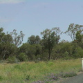 05-road-to-melbourne.JPG