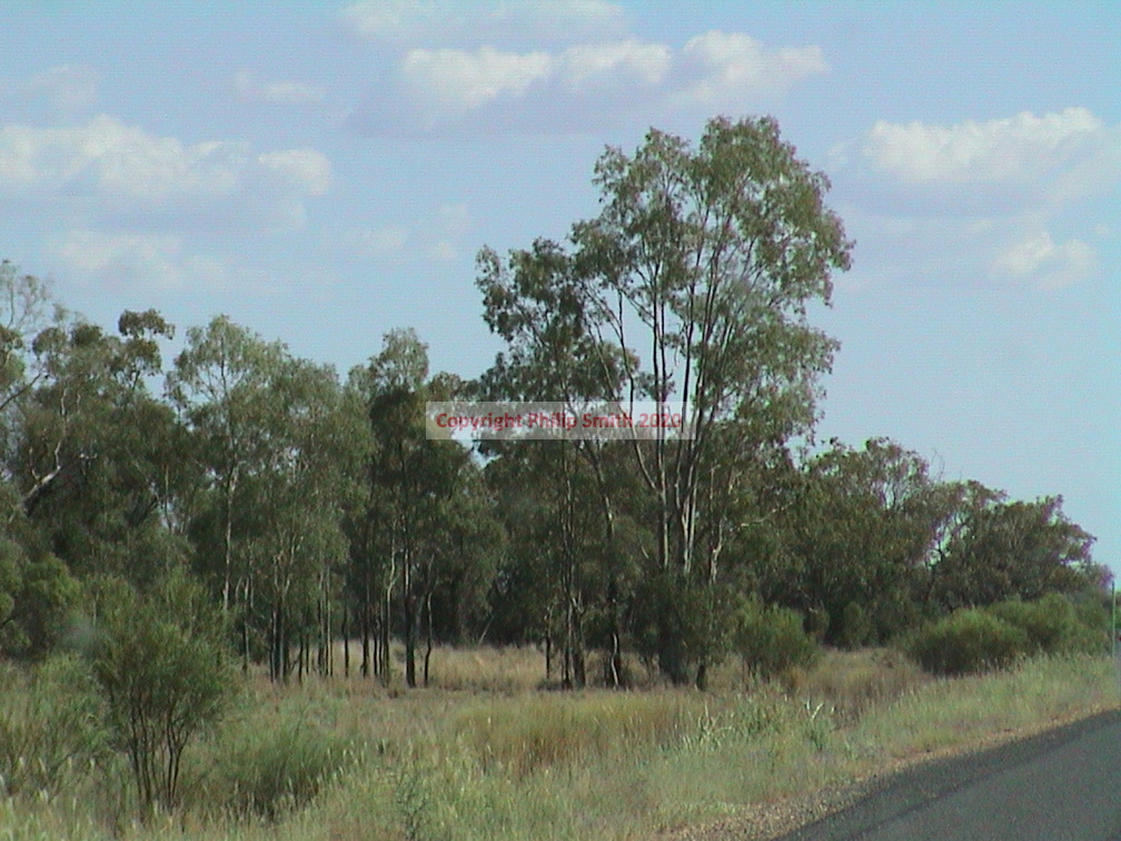 23-road-to-melbourne
