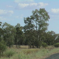 23-road-to-melbourne.JPG