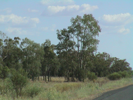 23-road-to-melbourne