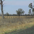 08-road-to-melbourne