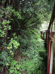 18-abt-wilderness-railway