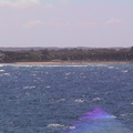 16-point-lonsdale.JPG