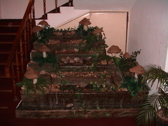 00-Berjaya-Hotel-mushrooms