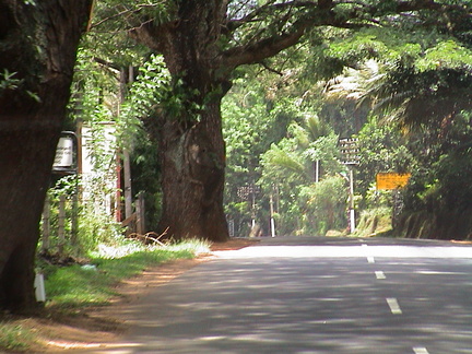 55-Road-to-Kandy