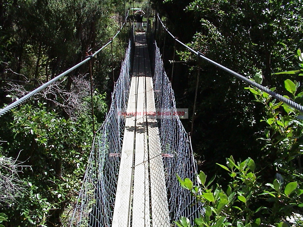 27-Rope-Bridge