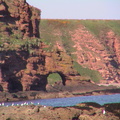 43-Auchmithie-cliffs.JPG