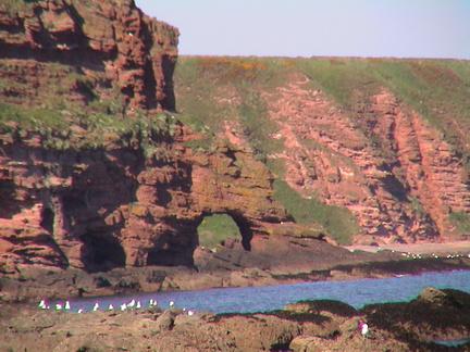 43-Auchmithie-cliffs