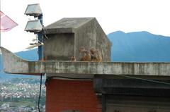 123-Swayambhunath