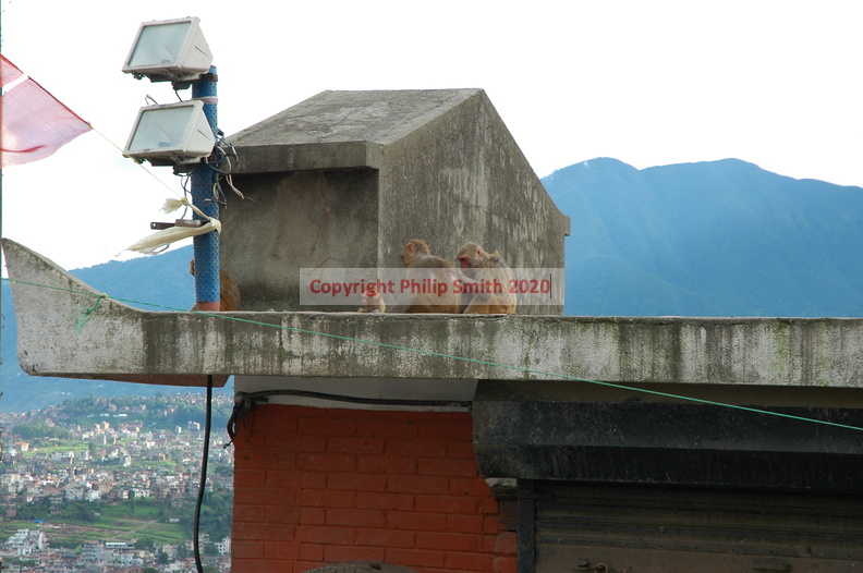 123-Swayambhunath.JPG