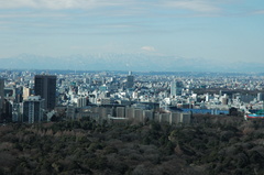 071-MtFuji-Tokyo
