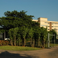 25-ICT-Campus.JPG