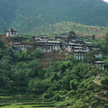 187-Village