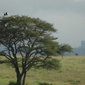 017-Nairobi