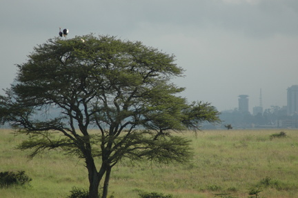 017-Nairobi