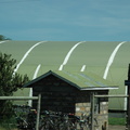 024-Greenhouses
