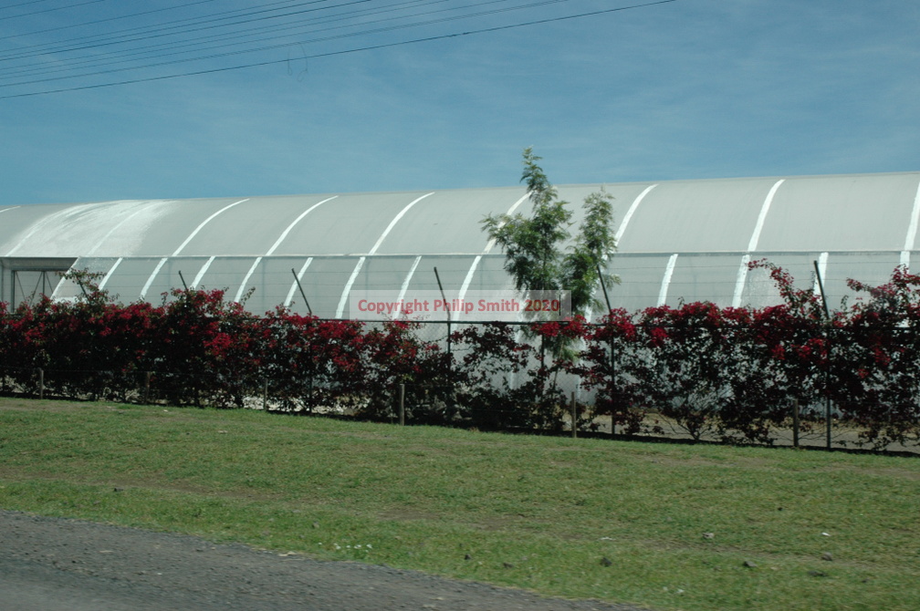 027-Greenhouses