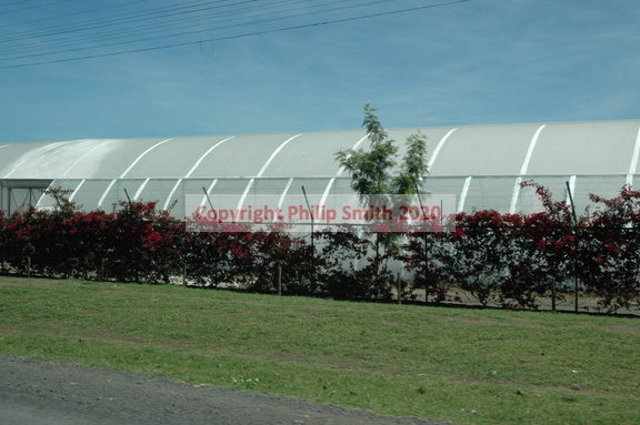027-Greenhouses