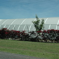 027-Greenhouses.JPG