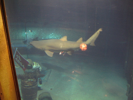 03-SharkTank