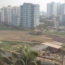 Dhaka 2008