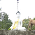 061-Buddha