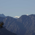207-Himalaya