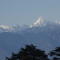 213-Himalaya1.jpg