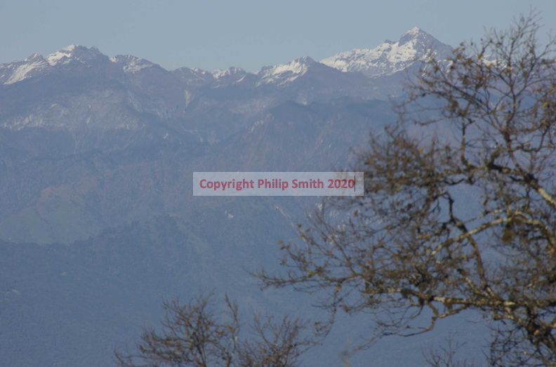 224-HimalayaC.jpg