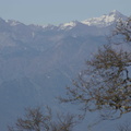 224-HimalayaC.jpg