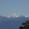 226-Himalaya