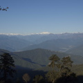 234-Himalaya.jpg