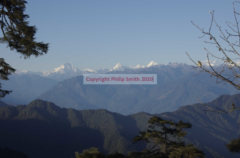 235-Himalaya.jpg