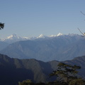 235-Himalaya