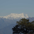249-Himalaya