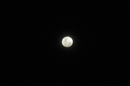 13-Moon