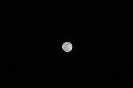 061-Moon