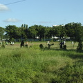 06-Dar-Es-Salaam
