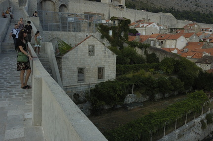 211-Dubrovnik
