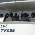 049-BlueAlbatross