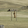 198-ArcheryTarget